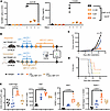 Sequential, but not concomitant, ABT-317 synergizes with CPI for improved a