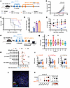 JAK inhibitor ABT-317 synergizes with CPI to achieve long-lasting antitumor