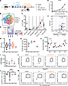 JAK inhibition attenuates IFN-γ–responsive signatures in the tumor microenv