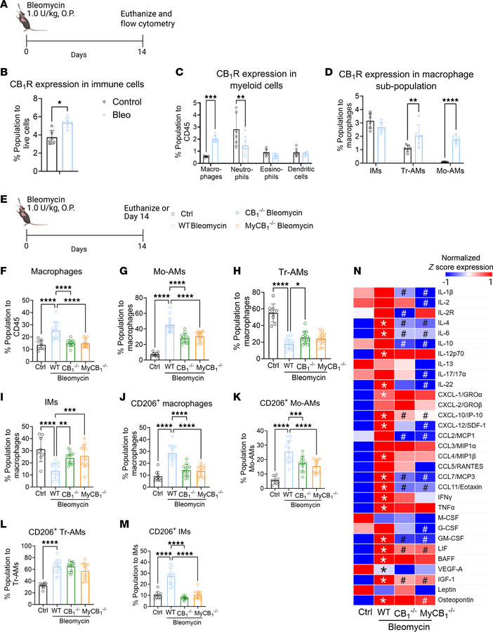 Deletion of CB1R in myeloid cells attenuates pro-fibrotic macrophages an...