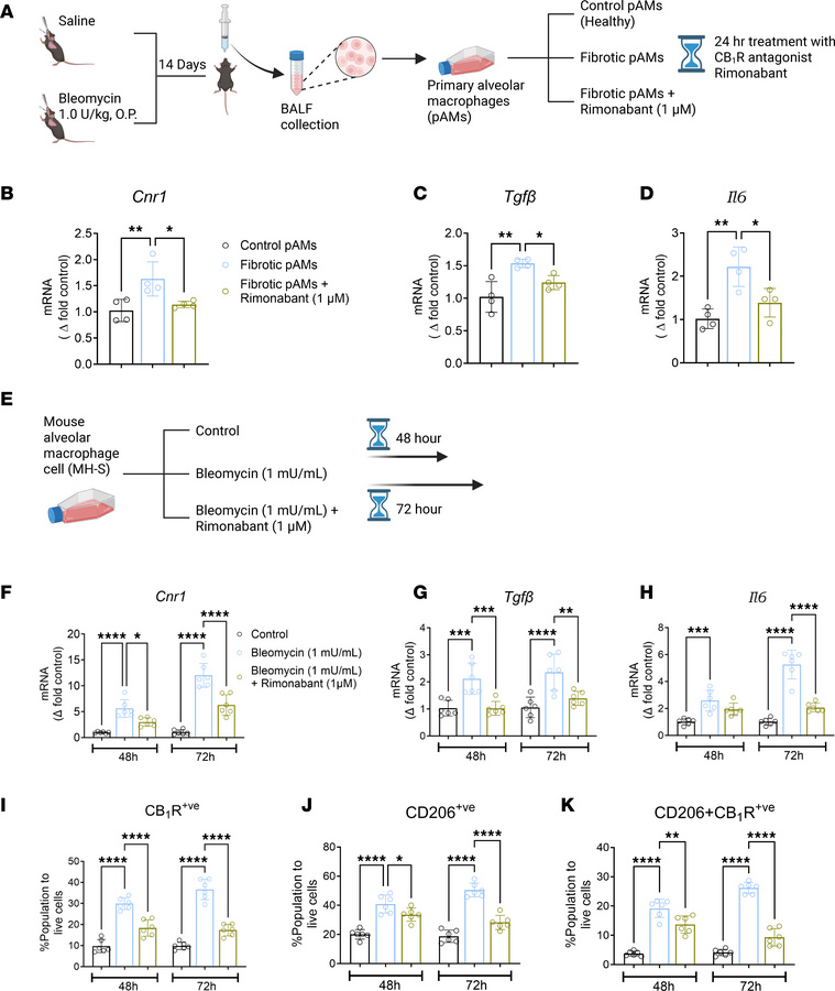 CB1R activation in AMs could regulate the activation of pro-fibrotic mac...