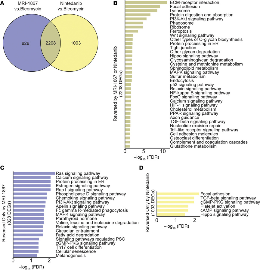 Transcriptomics analysis reveals the shared and unique effects of MRI-18...