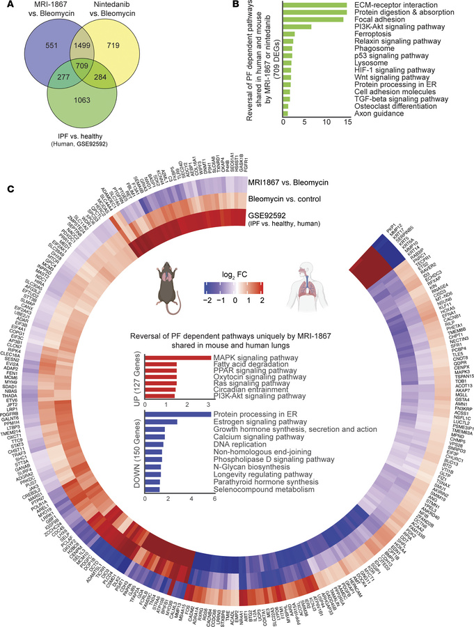 Translationally relevant genes and pathways reversed by either MRI-1867 ...