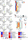 Modulation of the fibrotic microenvironment by MRI-1867.