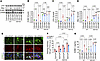 Alcohol augments the activation of ICAM-1 and its receptors LFA-1 and Mac-1