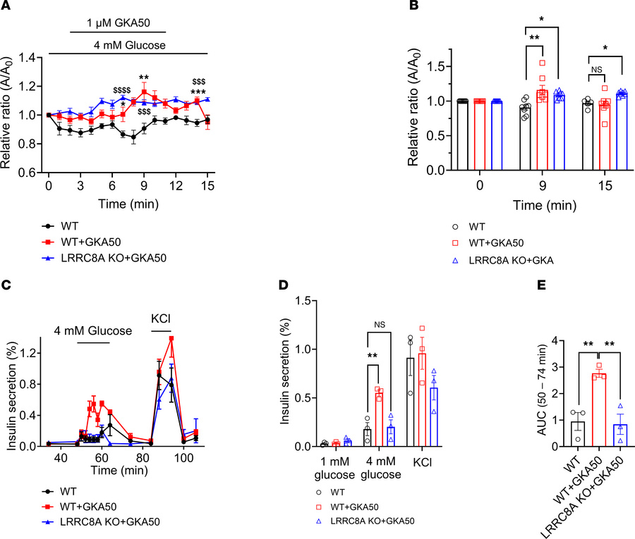 Glucokinase activator GKA50 induces β cell swelling and requires LRRC8A ...