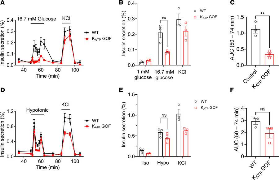 Hypotonic swelling induces insulin secretion in β cells independently of...