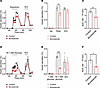 Elevated β cell intracellular chloride augments hypotonic- and glucose-stim