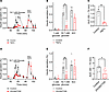 Pancreatic β cell aquaporin channel activity contributes to glucose-stimula