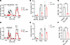 Hypotonic swelling induces insulin secretion in β cells independently of KA