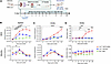Tracking CD4+ T cells during early development of curdlan-induced SpA in SP