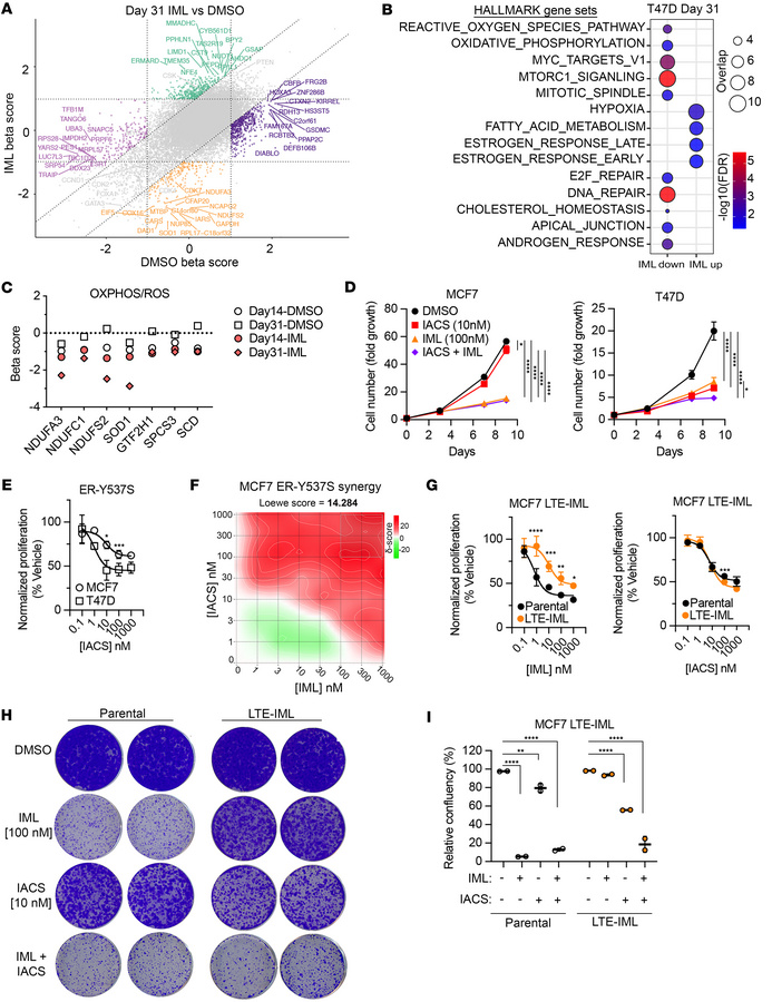 Imlunestrant treatment increases the essentiality of genes related to ox...