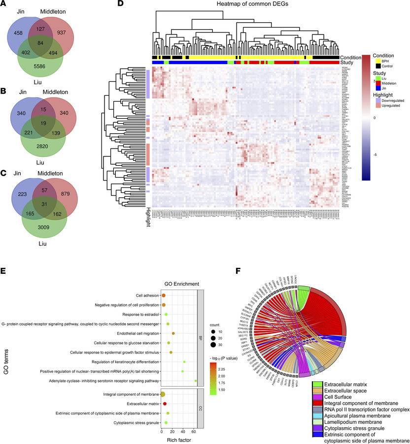 Identification of a BPH transcriptomic signature.
(A) Venn diagram showi...