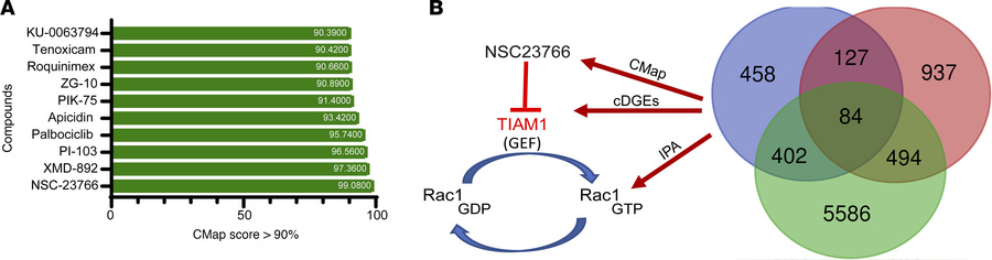 Identification of the upstream regulators and the top therapeutic candid...