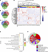 Identification of a BPH transcriptomic signature.
