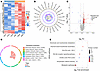Quantification of the lactylome in microglia in response to different glyce