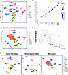 snRNA-seq identifies diverse cell types from favorable-histology Wilms tumo