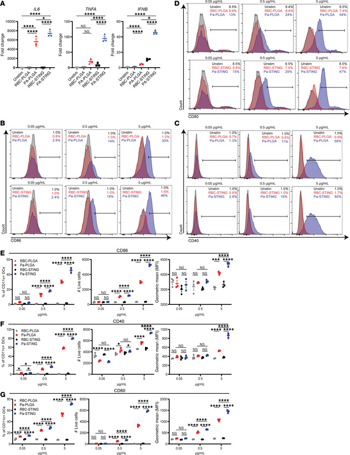Pa-STING activates dendritic cells in a dose dependent manner.
(A) Fold ...