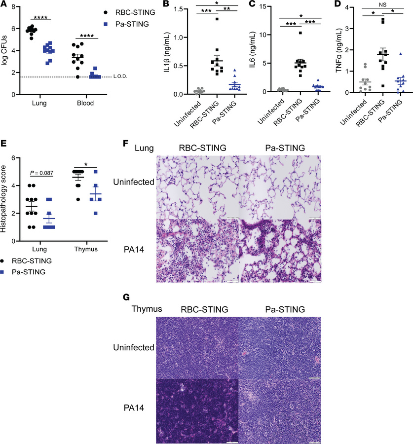 Pa-STING vaccination reduces bacterial load, inflammation, and pathology...