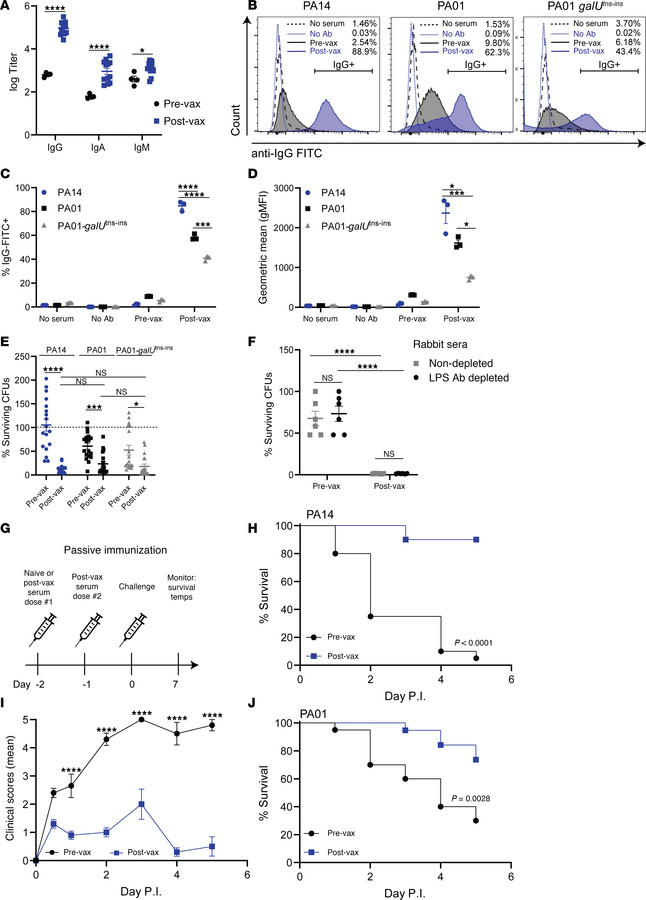 Pa-STING vaccination protection is antibody mediated and protects agains...