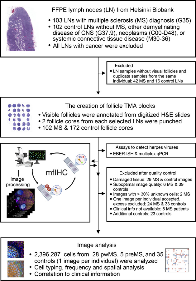 The study design.
A flow diagram shows the sample selection and illustra...