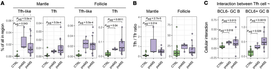 Increased Tfh cells are also in LNs before MS diagnosis.
(A) Box plots o...