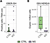Detection of EBV in FFPE LNs.