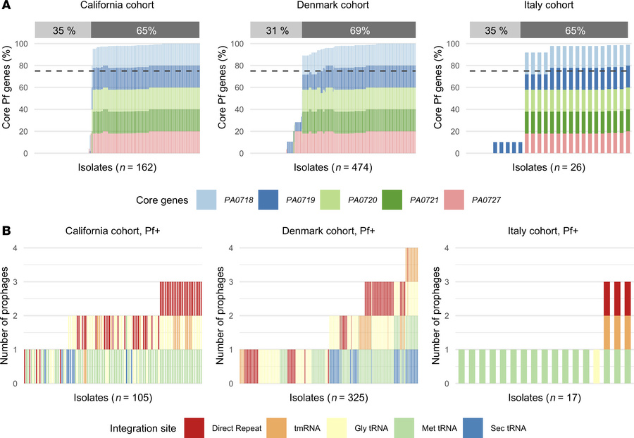 Majority of Pa infected by Pf phages.
(A) Percentage of core Pf genes PA...