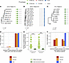 Pf prophages are maintained within clone types within patients.