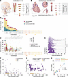 Somatic mutations and locally expanded clonal cell populations are inherent