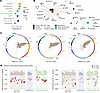 Non-random distribution of genes mutated in plaque tissue.