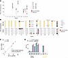 Contribution of clonal hematopoiesis of indeterminate potential (CHIP) clon