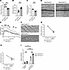 Csk is involved in integrin-mediated neutrophil slow rolling, chemokine-ind