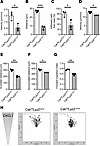 Csk is required for intravascular crawling and migration of leukocytes.