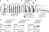Csk regulates the activity of Src kinases through a cAMP-dependent pathway.
