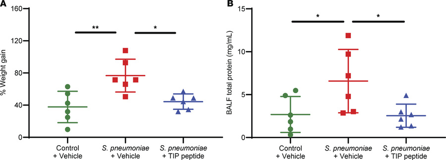 Treatment with the TIP peptide reduces pulmonary edema and barrier dysfu...