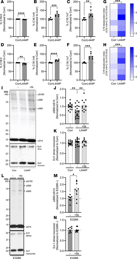 Monounsaturated fatty acids (C16:1 and C18:1) are increased in GBA1 L444...