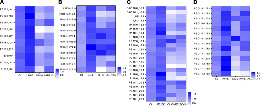SCD inhibition (5b) treatment decreases lipid unsaturation in Gba1 mutan...