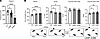 Gba1 mutant mice develop a progressive motor decline and an insecure gait.