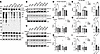 5b SCD inhibitor 5b normalizes GCase maturation,