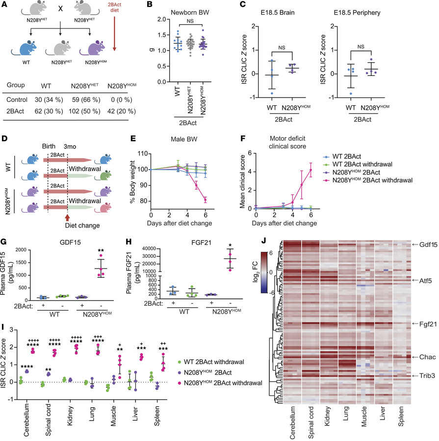 2BAct rescues early lethality of N208YHOM mice characterized by a system...