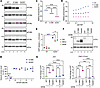 Mutations that impair sugar phosphate binding lead to a decrease in the lev