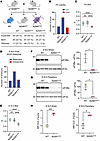 N208YHOM mice exhibit neonatal lethality and reduced body weight.