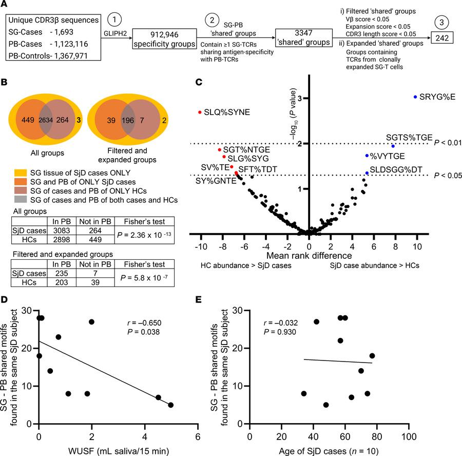 TCR motifs are commonly enriched in the PB and SGs of SjD cases.
(A) Flo...