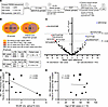 TCR motifs are commonly enriched in the PB and SGs of SjD cases.