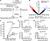PB TCR repertoire of SjD cases contains disease-associated motifs not detec