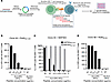 Discovery of Ro and La epitopes eliciting an immune response from select Sj