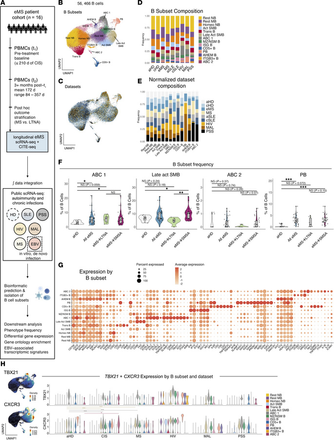 ABCs are enriched in people with eMS who experience subsequent MS activi...