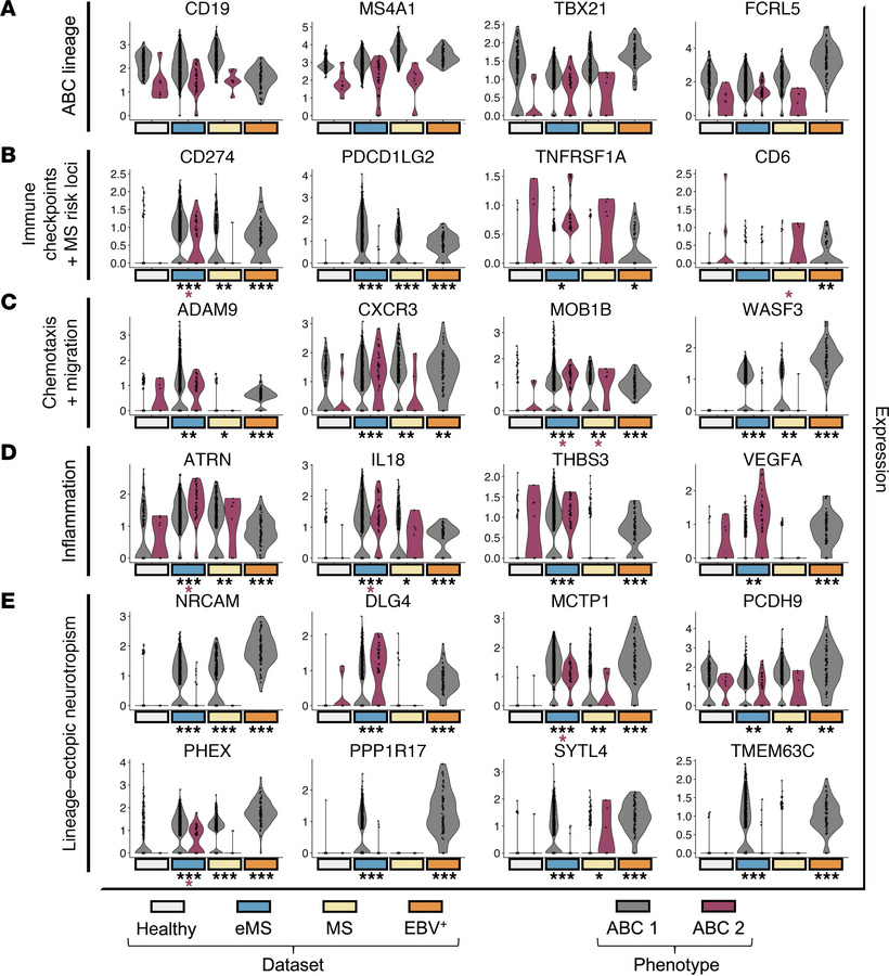 EBV-induced ABC markers observed in eMS ABCs are associated with pathoge...
