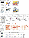 ABCs are enriched in people with eMS who experience subsequent MS activity.